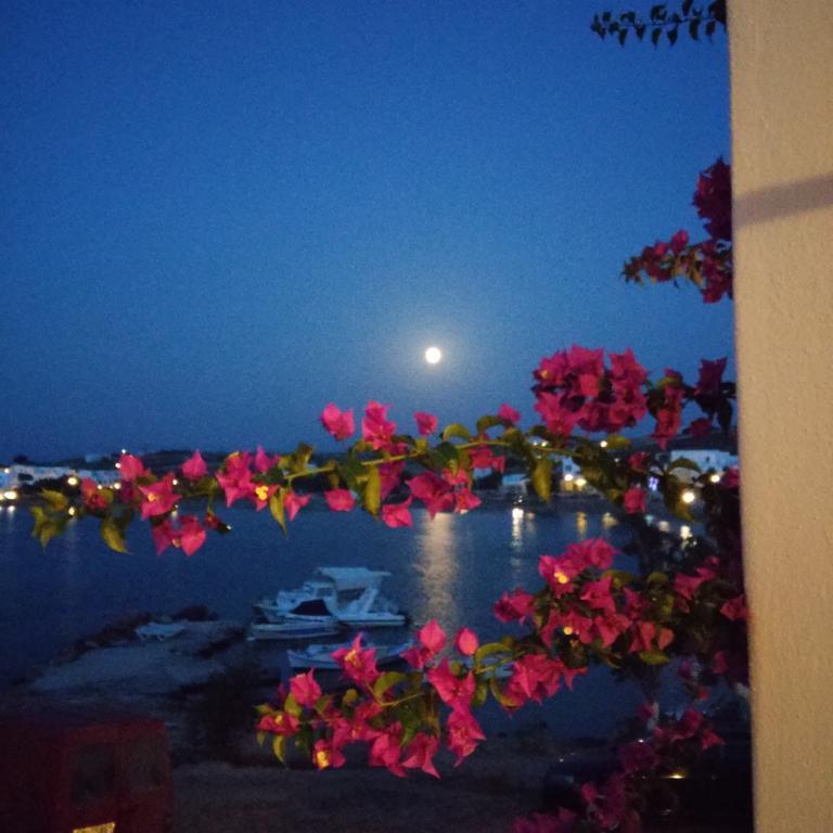 Bocamviglies By The Sea Hotel เนาซา ภายนอก รูปภาพ