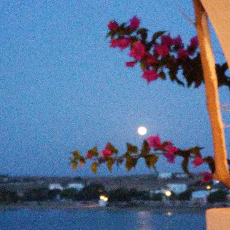 Bocamviglies By The Sea Hotel เนาซา ภายนอก รูปภาพ