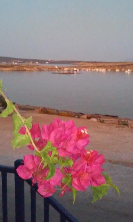 Bocamviglies By The Sea Hotel เนาซา ภายนอก รูปภาพ