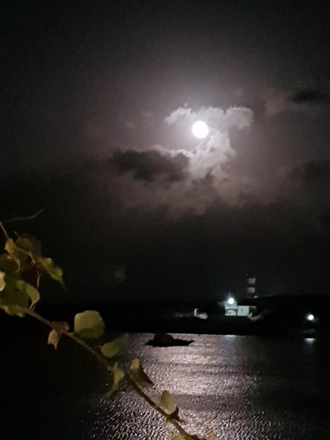 Bocamviglies By The Sea Hotel เนาซา ภายนอก รูปภาพ